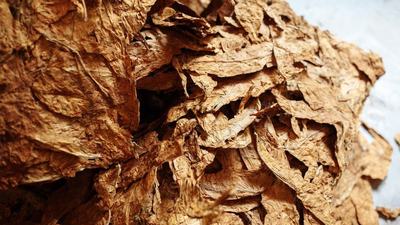 UK Tobacco Track and Trace Procurement: An Opportunity to Enhance Supply Chain Control