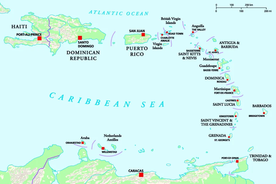 The Dominican Republic Experience